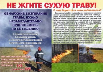 Ландшафтные пожары!. Виды ландшафтных пожаров