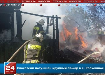 Спасатели потушили крупный пожар в с. Роскошное