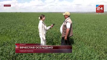 Более 1 тысячи тонн урожая: луганские аграрии приступили к севу подсолнечника