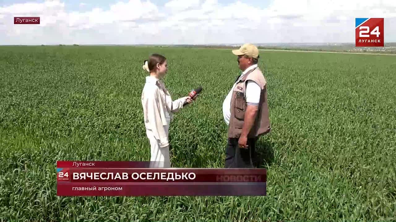 Более 1 тысячи тонн урожая: луганские аграрии приступили к севу подсолнечника