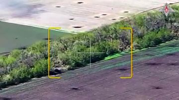 � ������ �����!. ������� ������ � ������, ���� �������