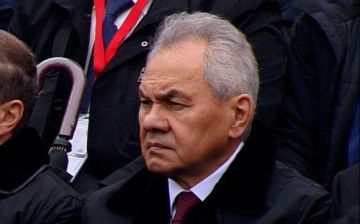 ЛНР полностью освобождена, под контролем ВСУ остается чуть более 15% территории ДНР, заявил Сергей Шойгу на встрече секретарей Совбезов государств-членов ШОС в Бишкеке