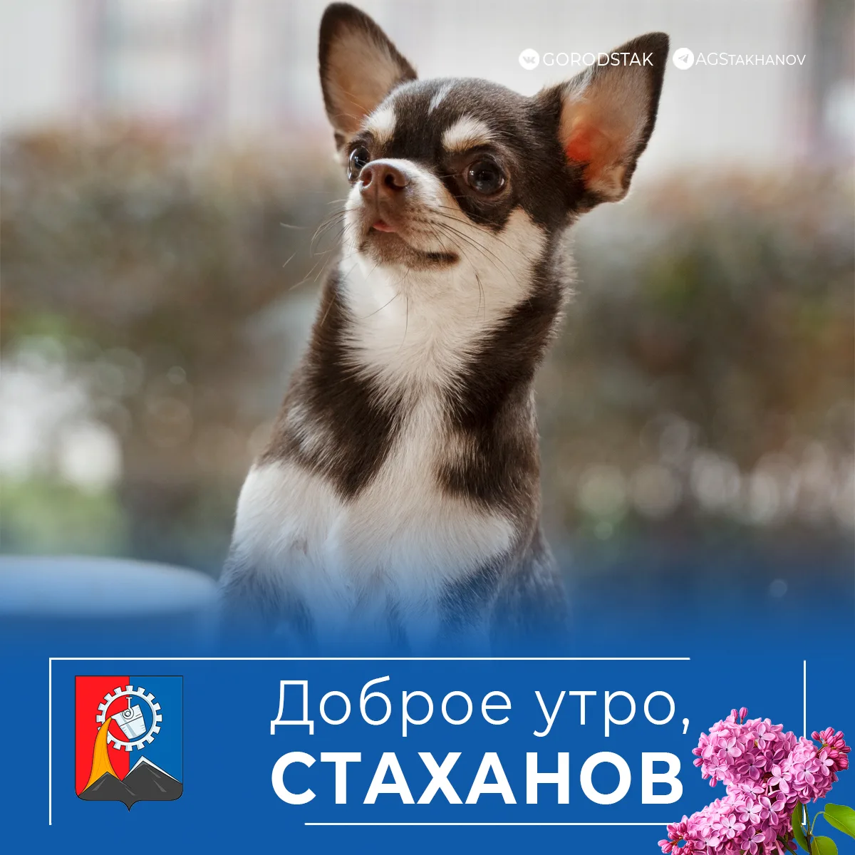 Доброе утро, родной город!