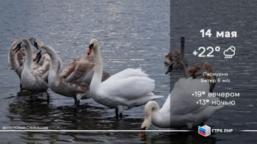 Доброе утро, Луганская Народная Республика!