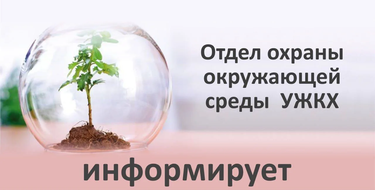 ОТДЕЛ ОХРАНЫ ОКРУЖАЮЩЕЙ СРЕДЫ УЖКХ ИНФОРМИРУЕТ: