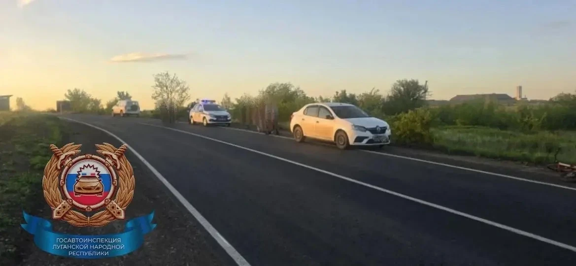 В Краснодонском округе 10-летний ребенок перебегал дорогу и попал под машину