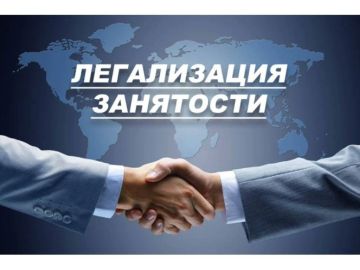 Легализация заработной платы: как МСП сэкономить на налогах в 2026 году