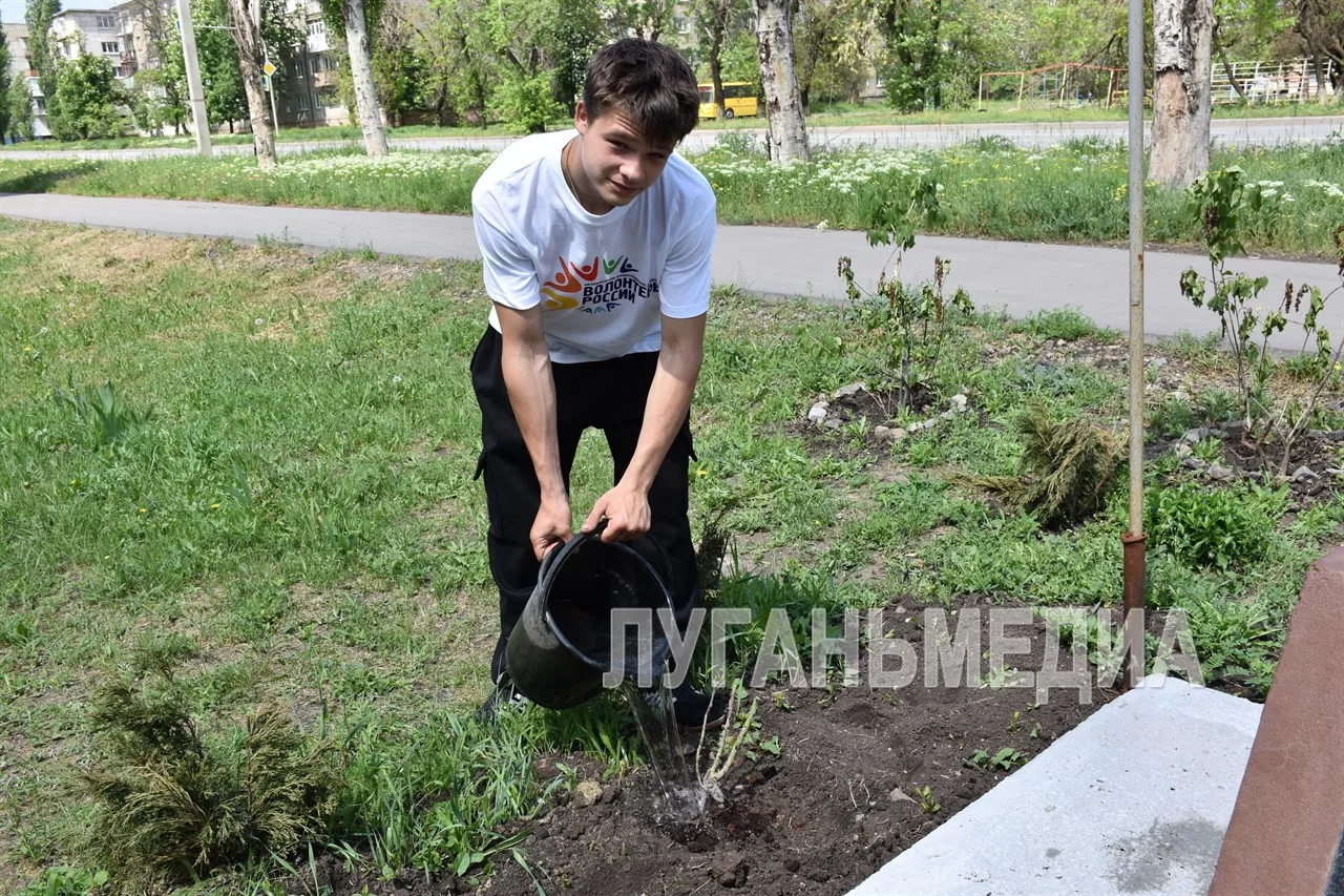 В Первомайском колледже прошло мероприятие в рамках акции «Сад памяти» В Первомайском колледже прошло мероприятие в рамках акции «Сад памяти»