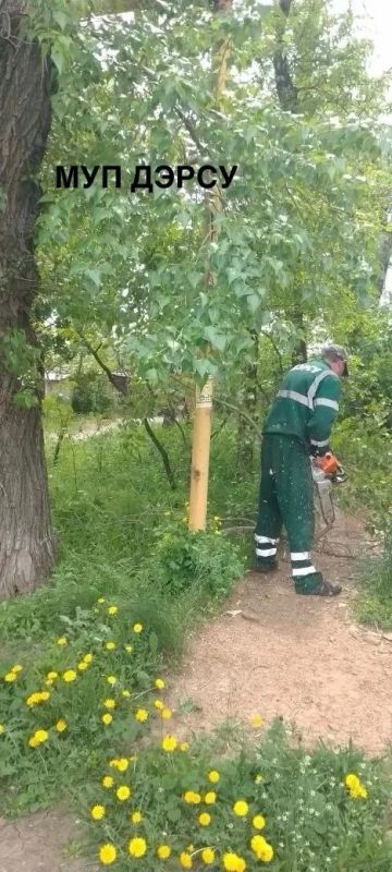 За период с 13 по 15 мая работниками МУП "ДЭРСУ" были выполнены следующие работы: За период с 13 по 15 мая работниками МУП "ДЭРСУ" были выполнены следующие работы: