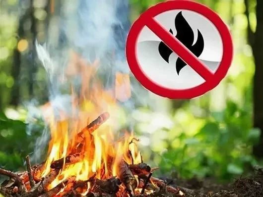Постановлением Правительства ЛНР от 03.02.2026 № 20/26 «Об установлении особого противопожарного режима на территории Луганской Народной Республики», установлен особый противопожарный режим с 01.04.2026 по 31.10.2026
