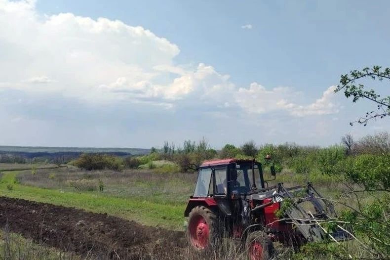 Устройство минерализованных полос на территории пгт Шахтерский Устройство минерализованных полос на территории пгт Шахтерский