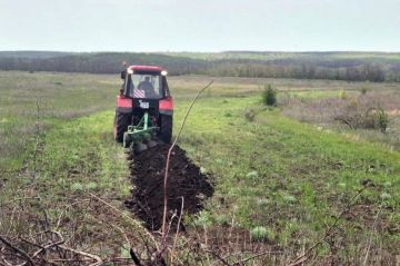 Устройство минерализованных полос на территории пгт Шахтерский