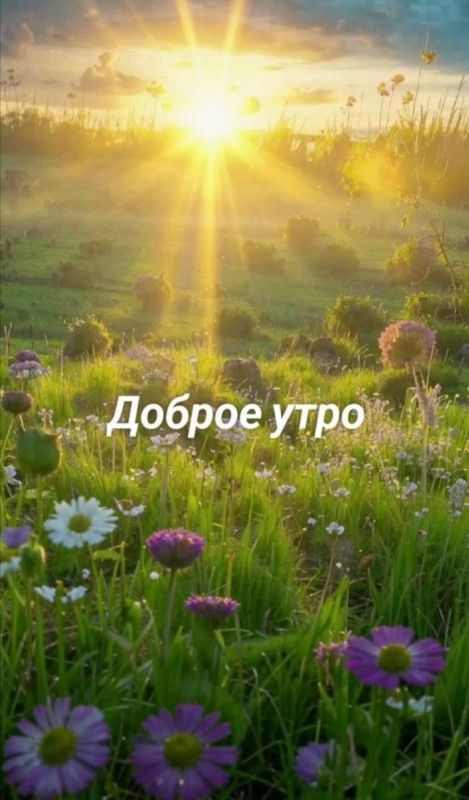 С добрым утром, дорогие жители Новопсковского муниципального округа!