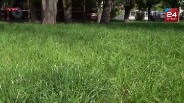 ����� �������: ��� ������ ���, ��� ��������� �� ���������?