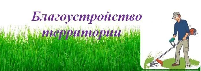Уважаемые жители Троицкого муниципального округа!