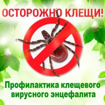В связи с началом сезона активности клещей необходимо соблюдать меры неспецифической профилактики клещевых инфекций, включающие выполнение самых простых и доступных мер: