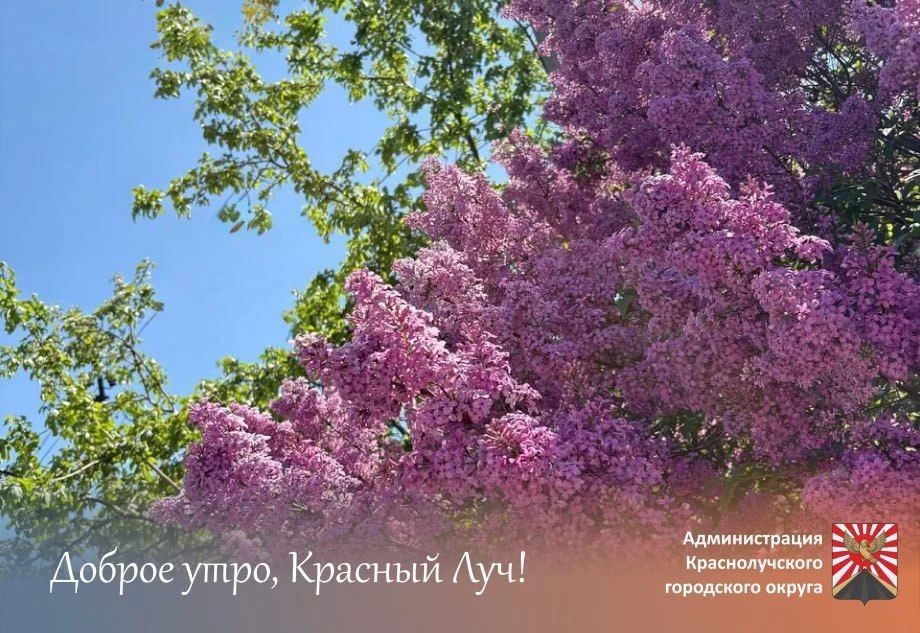 Доброе утро, краснолучане и гости города!