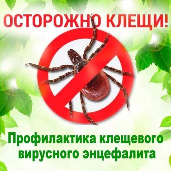 В связи с началом сезона активности клещей необходимо соблюдать меры неспецифической профилактики клещевых инфекций, включающие выполнение самых простых и доступных мер: