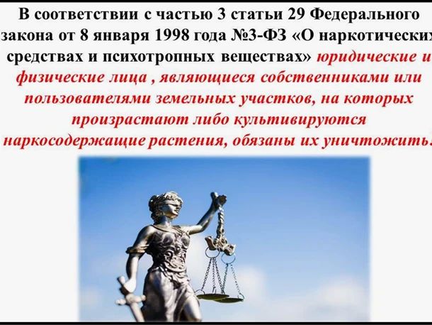 ПАМЯТКА ПО ВЫЯВЛЕНИЮ И УНИЧТОЖЕНИЮ ОЧАГОВ ДИКОРАСТУЩИХ НАРКОСОДЕРЖАЩИХ РАСТЕНИЙ, ОБ ОТВЕТСТВЕННОСТИ ЗА НЕЗАКОННОЕ КУЛЬТИВИРОВАНИЕ И НЕПРИНЯТИЯ МЕР ПО ИХ УНИЧТОЖЕНИЮ