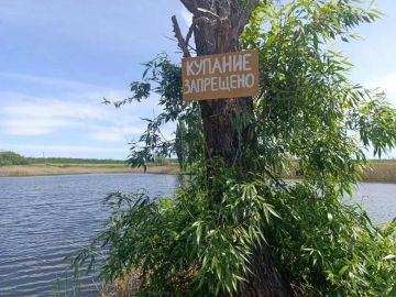 � ������������ ������ ���� ����������� ������� ��������� ��������� � �������, ������ �� ������� �� ����������� ������� ��� �������