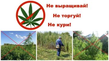 Антинаркотическая комиссия при Администрации муниципального округа муниципальное образование Меловский муниципальный округ Луганской Народной Республики информирует: