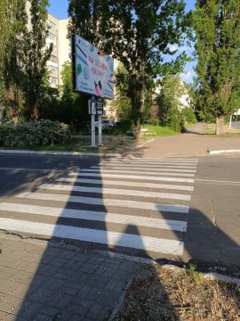По поручению первого заместителя главы администрации Игоря Шмидта были начаты работы по обновлению пешеходных разметок в городе