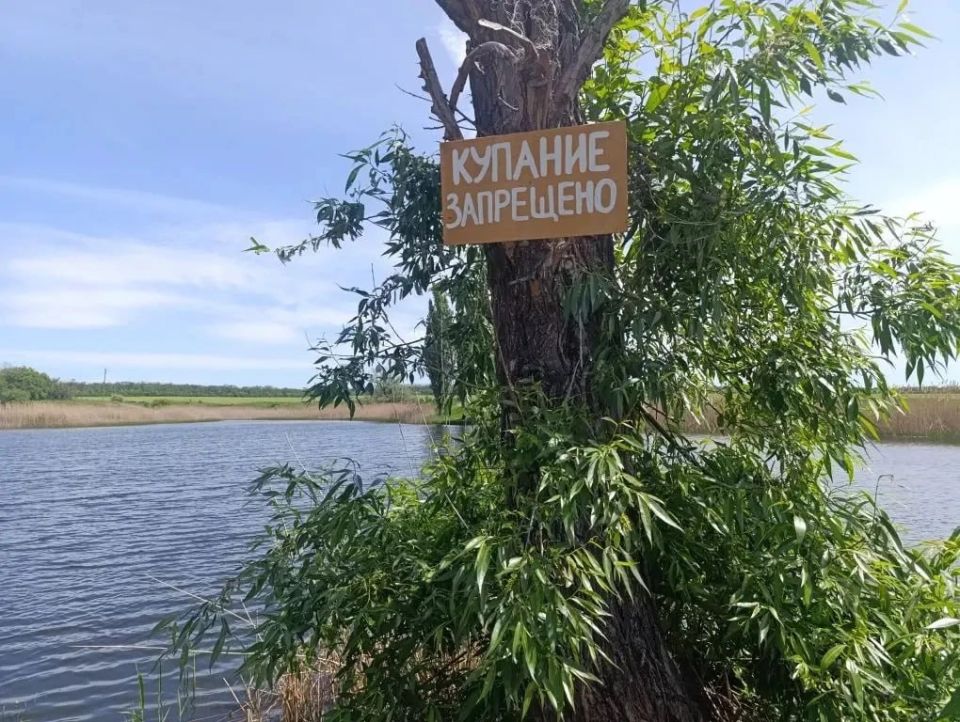 Горячая линия по вопросам легализации трудовых отношений Горячая линия по вопросам легализации трудовых отношений