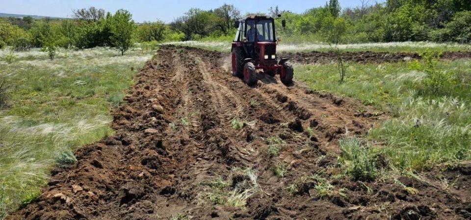 В рамках подготовки к весенне-летнему пожароопасному периоду 2026 года в городе Вахрушево продолжаются активные противопожарные мероприятия В рамках подготовки к весенне-летнему пожароопасному периоду 2026 года в городе Вахрушево продолжаются активные противопожарные мероприятия