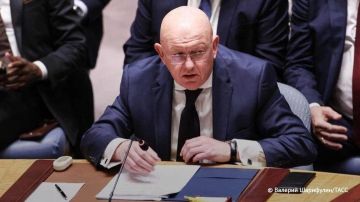 Удар ВСУ по колледжу в ЛНР не мог быть случайным и не мог быть результатом работы ПВО, заявил Небензя