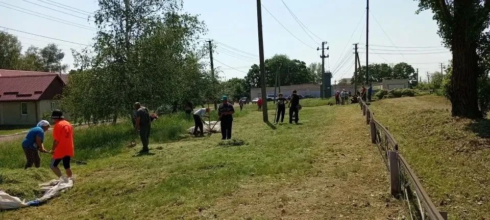 Сегодня в селе Воеводское провели уборку кладбища