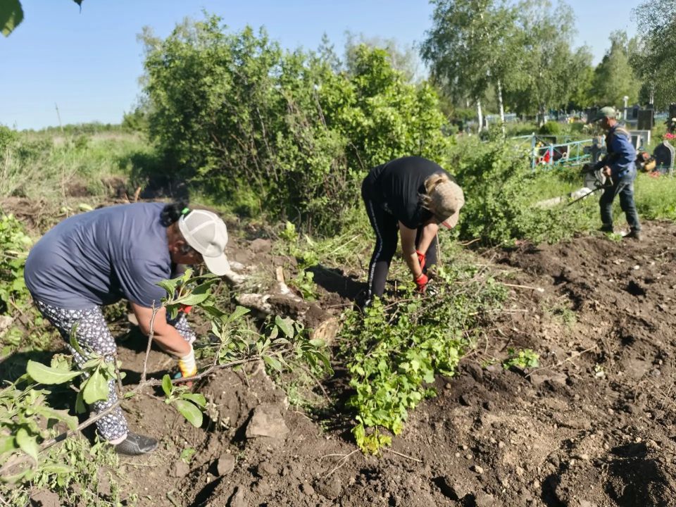 Поселок Городище становится краше благодаря субботникам Поселок Городище становится краше благодаря субботникам
