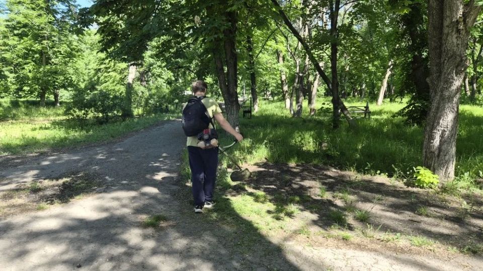 Сегодня городской парк культуры и отдыха наполнился особой атмосферой единства и заботы о природе Сегодня городской парк культуры и отдыха наполнился особой атмосферой единства и заботы о природе