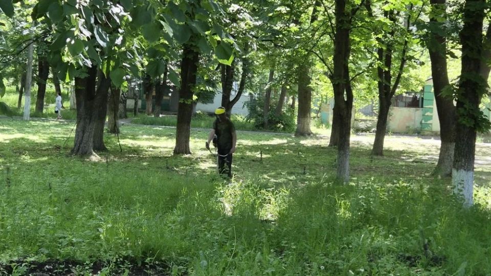 Сегодня городской парк культуры и отдыха наполнился особой атмосферой единства и заботы о природе Сегодня городской парк культуры и отдыха наполнился особой атмосферой единства и заботы о природе