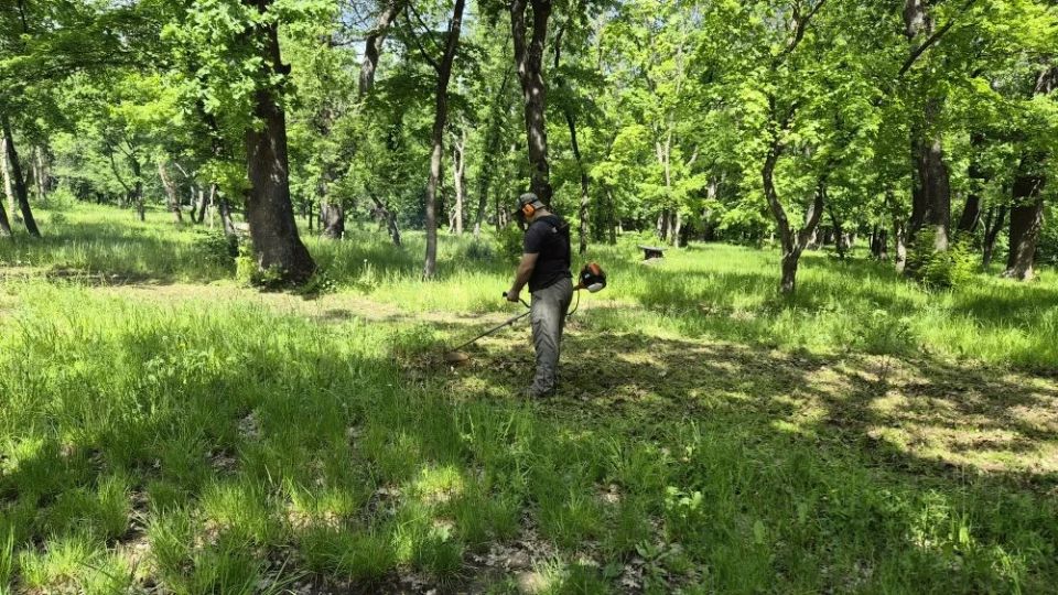 Сегодня городской парк культуры и отдыха наполнился особой атмосферой единства и заботы о природе Сегодня городской парк культуры и отдыха наполнился особой атмосферой единства и заботы о природе