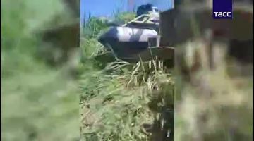 ���������� ����� ������� �������� ����� �� �������� ��� � �������� ��� �����������
