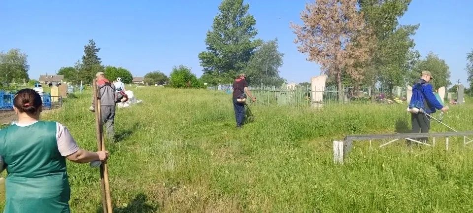 Сегодня в селе Воеводское провели уборку кладбища Сегодня в селе Воеводское провели уборку кладбища