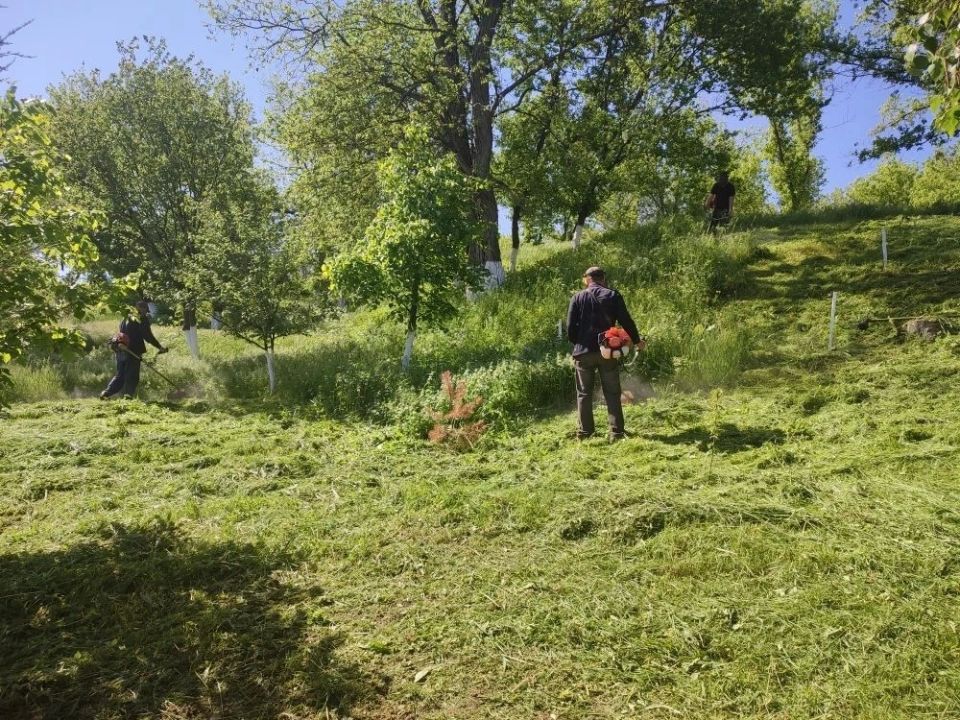 Поселок Городище становится краше благодаря субботникам Поселок Городище становится краше благодаря субботникам