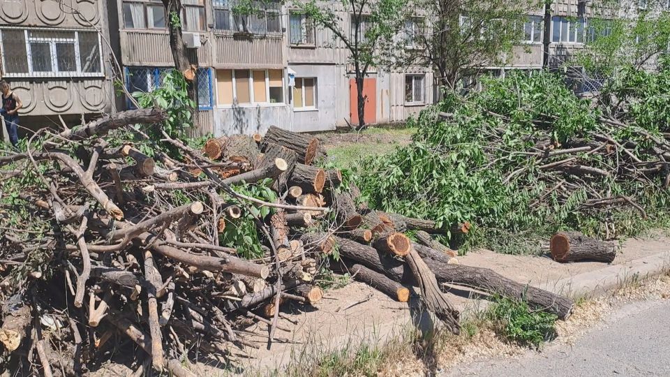В Алчевске продолжили проведение цикла мероприятий «День двора» В Алчевске продолжили проведение цикла мероприятий «День двора»