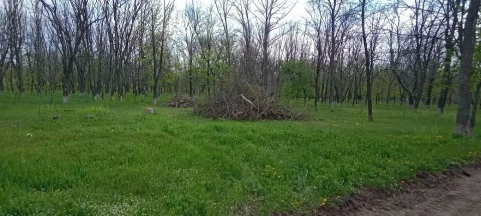 В Краснодоне продолжаются работы по благоустройству второго этапа реконструкции парка имени «Молодой гвардии»
