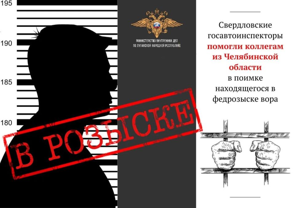 Свердловские госавтоинспекторы помогли коллегам из Челябинской области в поимке находящегося в федеральном розыске вора