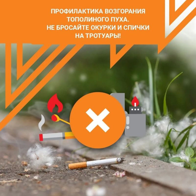 Тополиный пух - источник пожарной опасности! Тополиный пух - источник пожарной опасности!