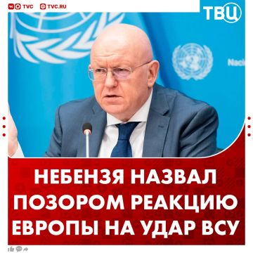 Выступления европейских членов СБ ООН являются откровенным глумлением над детскими жертвами, заявил Василий Небензя