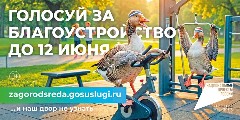 Сидите дома, листаете ленту новостей? Отвлекитесь и подключитесь к онлайн-голосованию на портале Госуслуги (