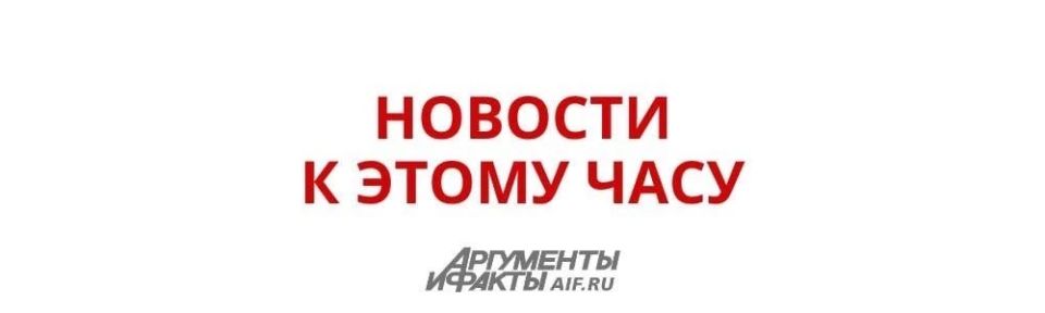 ФСБ предотвратила крупный теракт в Белгородской области: женщина должна была доставить взрывное устройство в место массового пребывания людей и привести в действие
