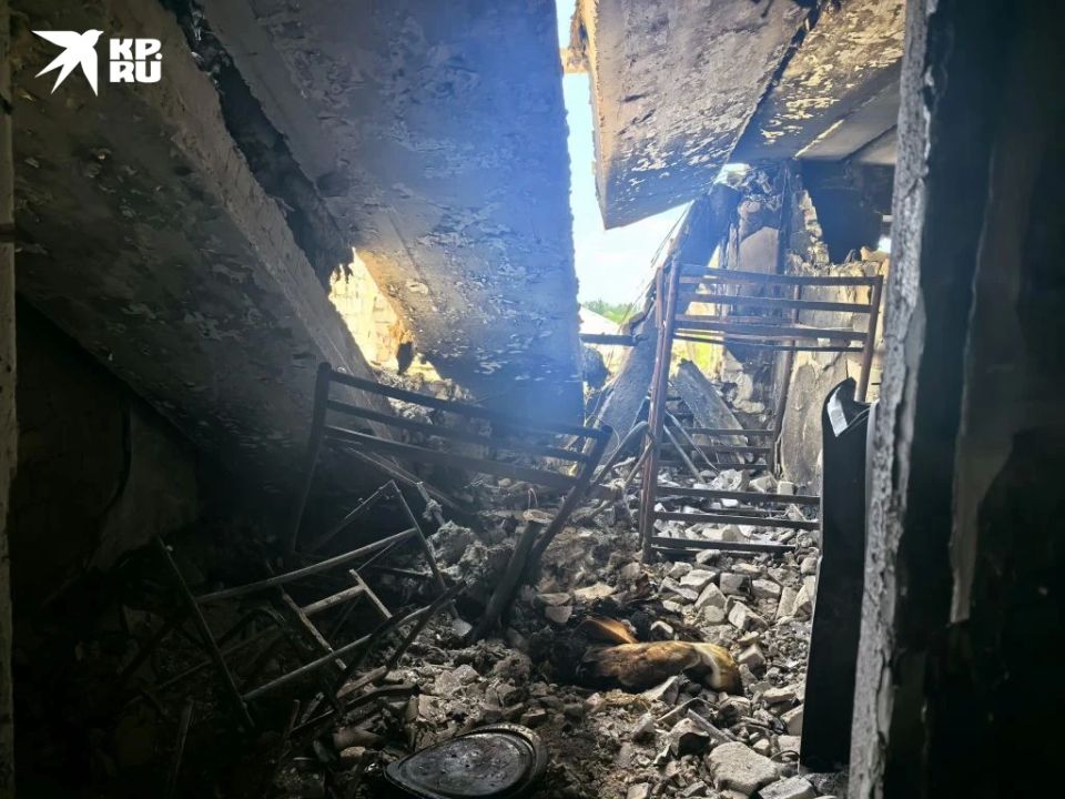 Иностранных журналистов провели внутрь разрушенного здания общежития колледжа в Старобельске и продемонстрировали обломки боеприпасов, которыми были атакованы здания Иностранных журналистов провели внутрь разрушенного здания общежития колледжа в Старобельске и продемонстрировали обломки боеприпасов, которыми были атакованы здания