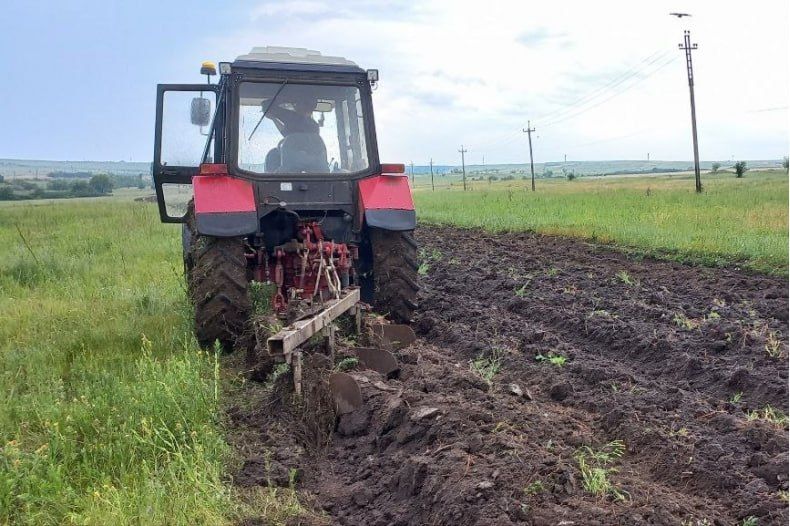 Проводятся мероприятия по созданию минерализованных полос вокруг населенных пунктов Медвежанка, Николаевка, Нагорное