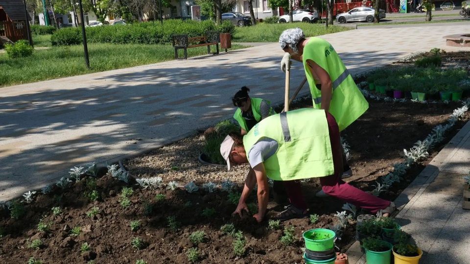 Луганский Комбинат зеленого хозяйства и благоустройства продолжает работы по озеленению города Луганский Комбинат зеленого хозяйства и благоустройства продолжает работы по озеленению города