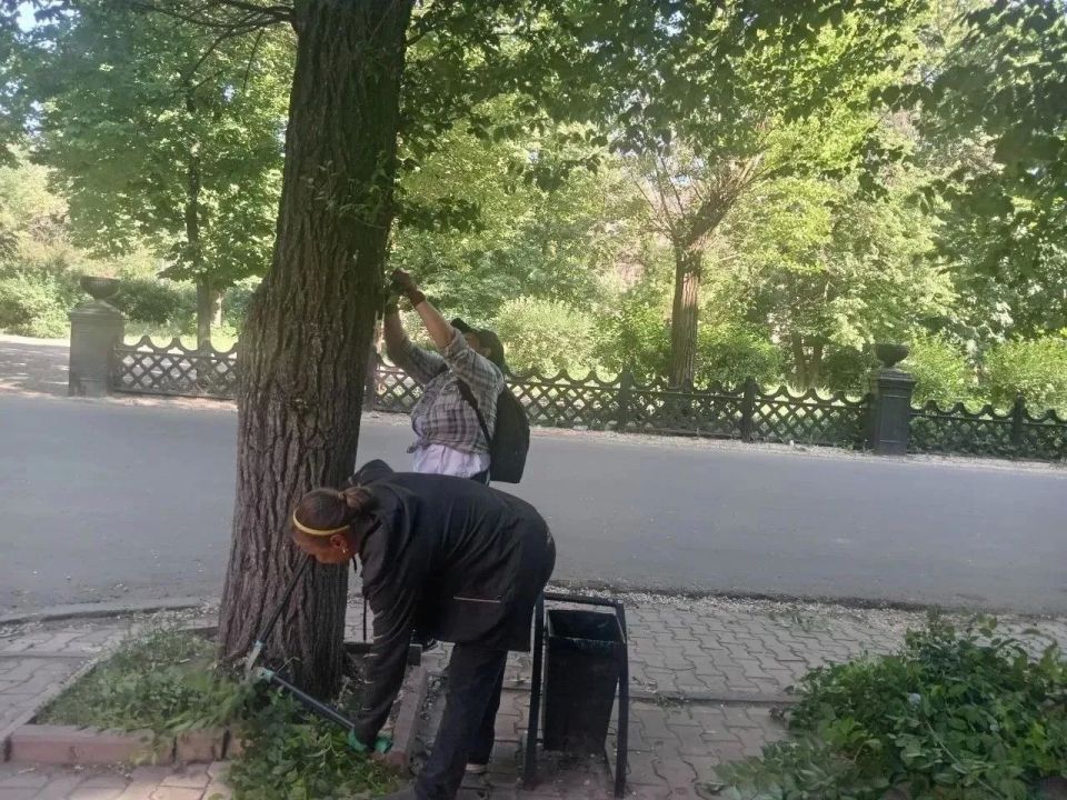 Коммунальными службами проведены работы на территории города Коммунальными службами проведены работы на территории города