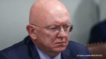 Небензя в ответ на вопрос ТАСС заявил, что скептически смотрит на идею международного расследования удара по колледжу в Старобельске