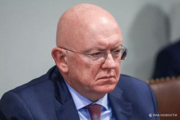 Россия приложит все усилия для для наказания виновных в теракте в Старобельске, сказал Небензя